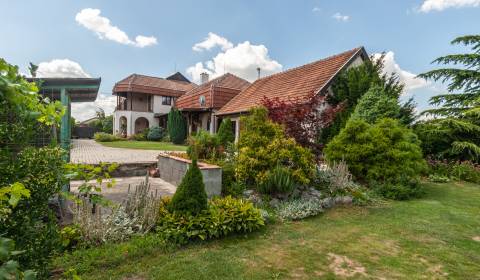 Eladó Családi ház, Családi ház, Nové Zámky, Szlovákia