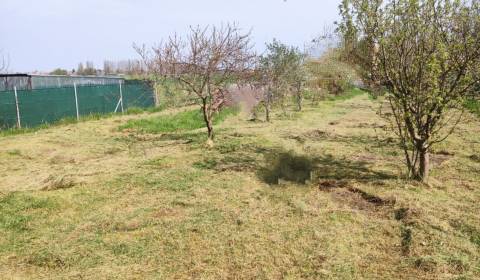 Eladó Építési telek, Építési telek, Dunajská Streda, Szlovákia