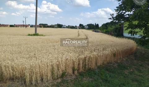 Eladó Építési telek, Dunajská Streda, Szlovákia