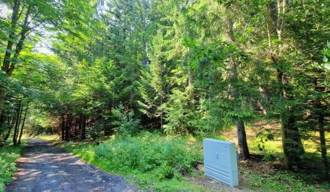 Eladó Üdülőtelkek, Üdülőtelkek, Brezno, Szlovákia