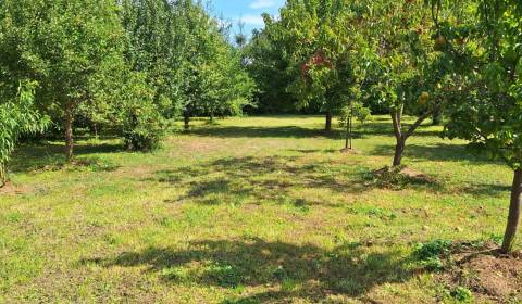 Eladó Lakóházak építése, Lakóházak építése, Šaľa, Szlovákia