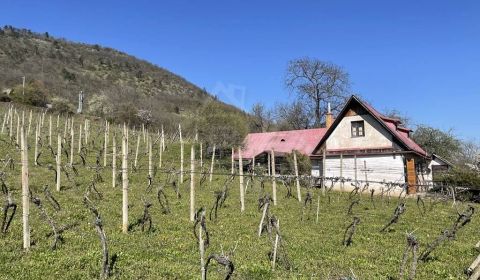 Eladó Nyaraló, Nyaraló, Rožňava, Szlovákia