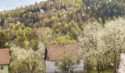 Eladó Családi ház, Családi ház, Detva, Szlovákia