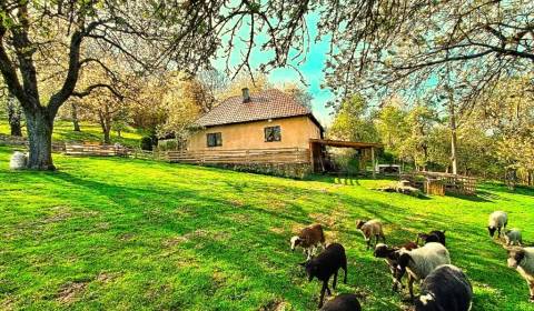 Eladó Családi ház, Családi ház, Lučenec, Szlovákia