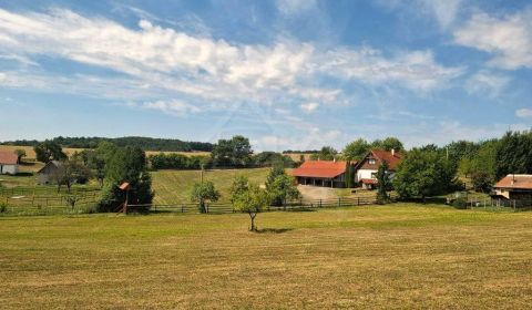 Eladó Családi ház, Családi ház, Veľký Krtíš, Szlovákia