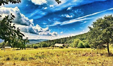 Eladó Családi ház, Családi ház, Zvolen, Szlovákia