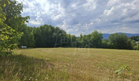 Eladó Nyaraló, Nyaraló, Detva, Szlovákia