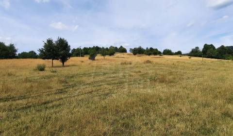 Eladó Mezőgazdasági és erdei telkek, Mezőgazdasági és erdei telkek, Ži