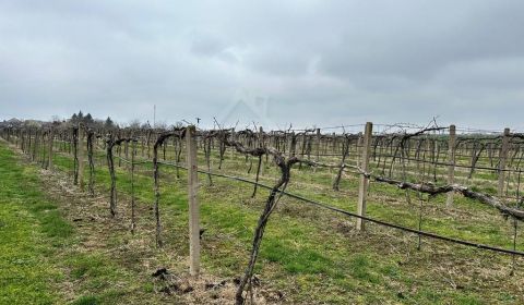 Eladó Nyaraló, Nyaraló, Nové Zámky, Szlovákia