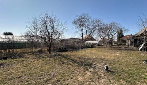 Eladó Építési telek, Építési telek, Komárno, Szlovákia