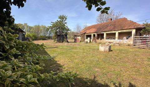 Eladó Családi ház, Családi ház, Nové Zámky, Szlovákia