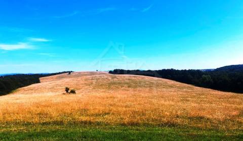 Eladó Családi ház, Családi ház, Krupina, Szlovákia
