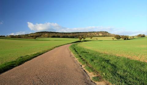 Eladó Mezőgazdasági és erdei telkek, Mezőgazdasági és erdei telkek, in