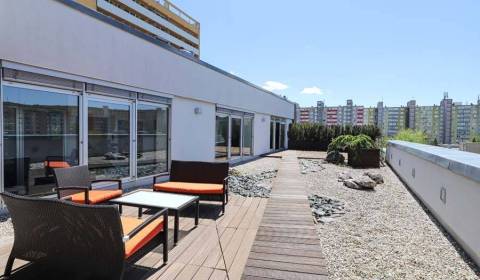 Kiadó Irodahelység, Irodahelység, Sekurisova, Bratislava - Dúbravka, S