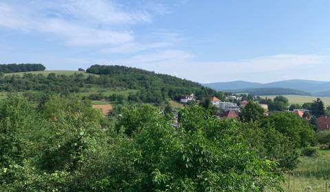 Eladó Családi ház, Családi ház, Partizánske, Szlovákia