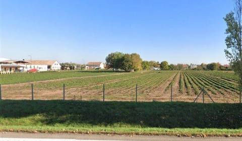 Eladó Építési telek, Építési telek, Novozámocká, Nitra, Szlovákia