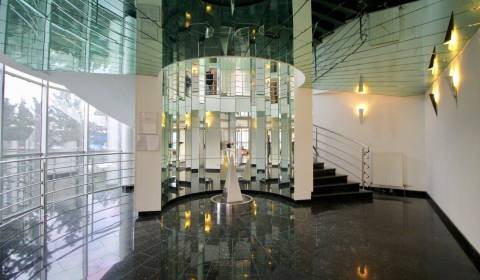 Kiadó Irodahelység, Irodahelység, Krajná, Bratislava - Ružinov, Szlová