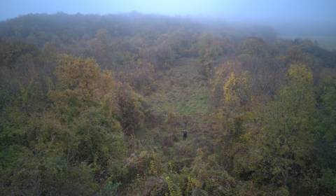 Eladó Kertek, Kertek, Nitra, Szlovákia