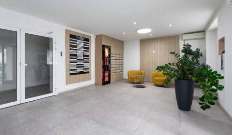 Kiadó Irodahelység, Irodahelység, Koceľova, Bratislava - Ružinov, Szlo