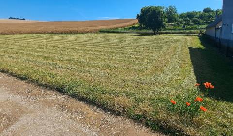 Eladó Mezőgazdasági és erdei telkek, Mezőgazdasági és erdei telkek, Bá