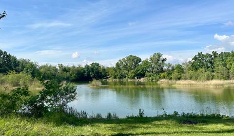 Eladó Családi ház, Családi ház, Kalinkovo, Senec, Szlovákia