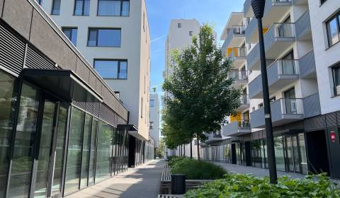 NIVY/JARABINKY - sétálóövezetben üzlethelyiség kiadó