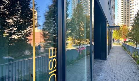 Kiadó Üzlethelység, Üzlethelység, Jarabinková, Bratislava - Ružinov, S