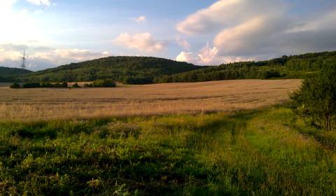 Eladó Mezőgazdasági és erdei telkek, Mezőgazdasági és erdei telkek, Ko