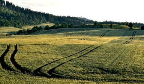 Eladó Mezőgazdasági és erdei telkek, Mezőgazdasági és erdei telkek, Ko