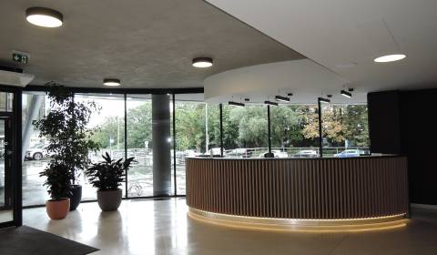 Kiadó Irodahelység, Irodahelység, Röntgenova, Bratislava - Petržalka, 