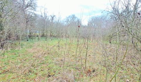 Eladó Építési telek, Építési telek, Levice, Szlovákia