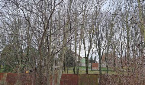 Eladó Építési telek, Építési telek, Lok, Levice, Szlovákia