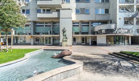 Kiadó Irodahelység, Irodahelység, Námestie Martina Benku, Bratislava -