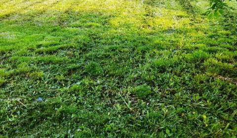 Eladó Építési telek, Építési telek, Michalovce, Szlovákia