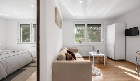 Eladó 1 szobás lakás, 1 szobás lakás, Bratislava - Petržalka, Szlováki