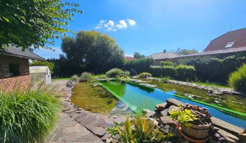 Eladó Családi ház, Családi ház, Senec, Szlovákia