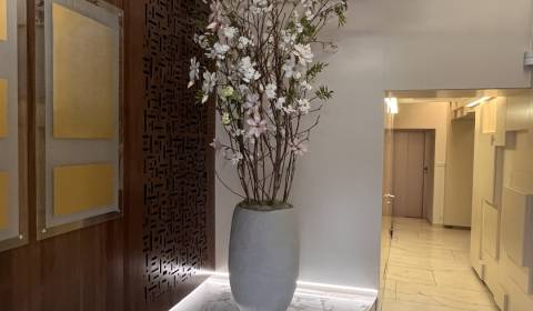 Kiadó Irodahelység, Irodahelység, Radlinského, Bratislava - Staré Mest