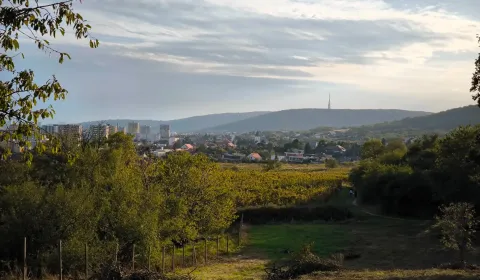Eladó Építési telek, Építési telek, Bratislava - Rača, Szlovákia