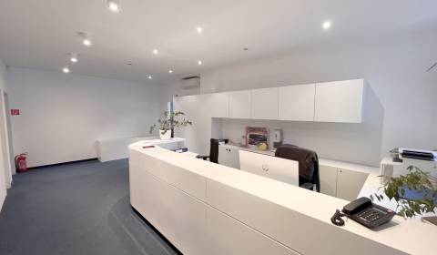 Kiadó Irodahelység, Irodahelység, Mýtna, Bratislava - Staré Mesto, Szl