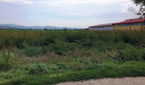 Eladó Mezőgazdasági és erdei telkek, Mezőgazdasági és erdei telkek, No