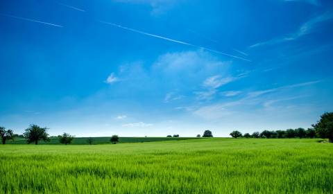 Eladó Építési telek, Építési telek, Levice, Szlovákia