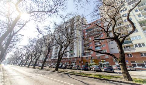 Kiadó Garázsok, Garázsok, Jégého, Bratislava - Ružinov, Szlovákia