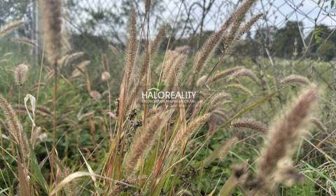 Eladó Építési telek, Zlaté Moravce, Szlovákia