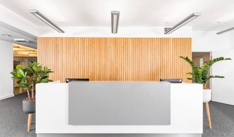 Kiadó Irodahelység, Irodahelység, Suché Mýto 1, Bratislava - Staré Mes