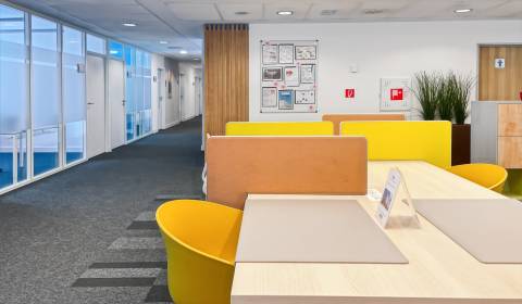 Kiadó Irodahelység, Irodahelység, Suché Mýto 1, Bratislava - Staré Mes