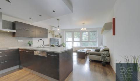 Kiadó 3 szobás lakás, 3 szobás lakás, Drieňová, Bratislava - Ružinov, 