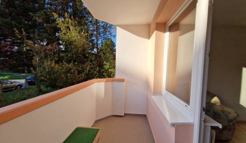 Kiadó 1 szobás lakás, 1 szobás lakás, Štefánikova, Senica, Szlovákia