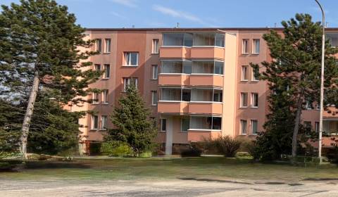 Kiadó 1 szobás lakás, 1 szobás lakás, Štefánikova, Senica, Szlovákia