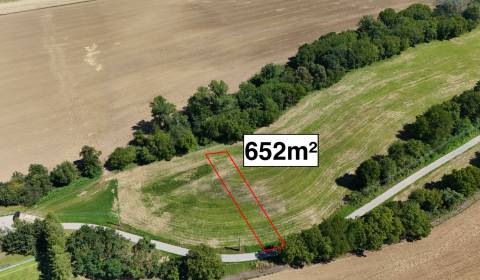 Eladó Mezőgazdasági és erdei telkek, Mezőgazdasági és erdei telkek, No