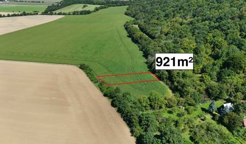 Eladó Mezőgazdasági és erdei telkek, Mezőgazdasági és erdei telkek, No